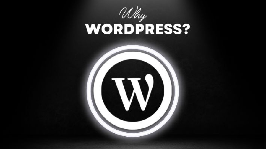 5 Reasons Why WordPress is the Go-To Choice for Building Your Website