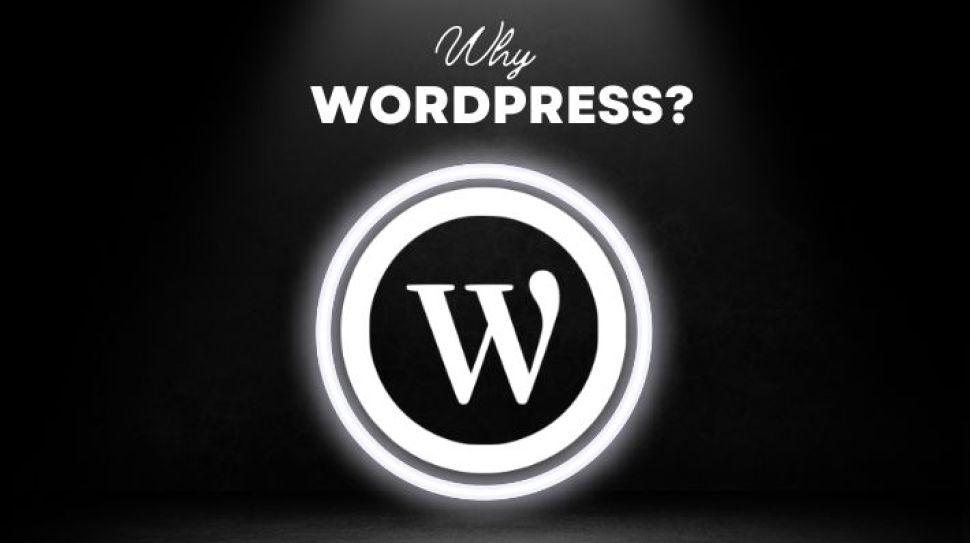 5 Reasons Why WordPress is the Go-To Choice for Building Your Website